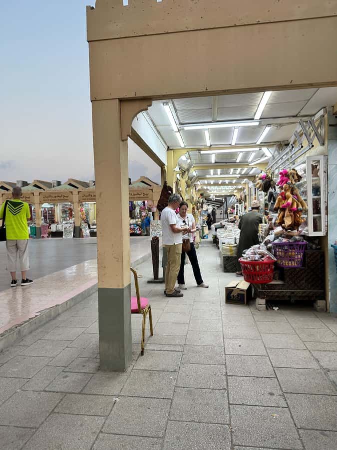 Elite Private Full Day Tour - Salalah Main Attractions - Local drinks and snacks make the long day easier