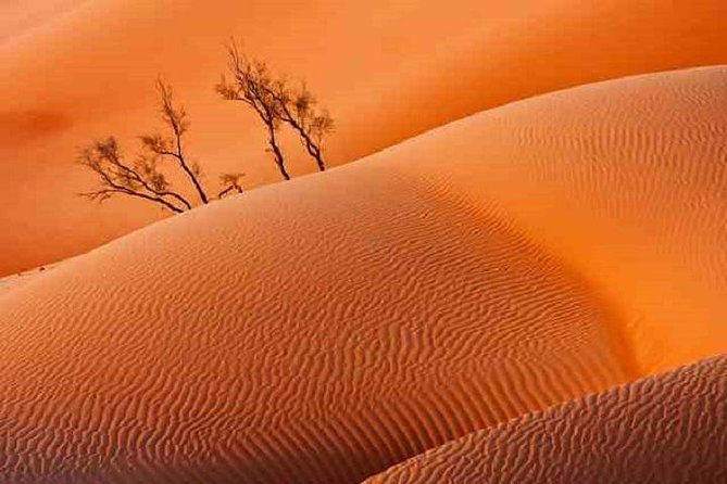 Empty Quarter And Lost City Of Ubar - Crossing the Qara Mountains from Salalah