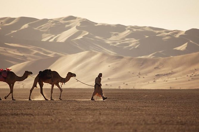 Empty Quarter & Lost City from Salalah - Practical strengths and fair warnings