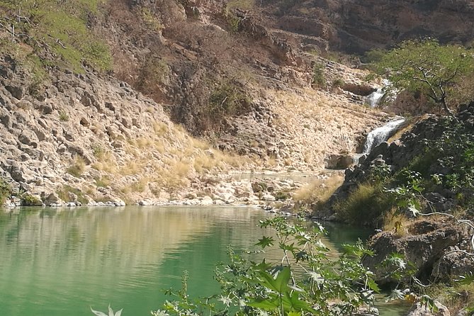 Enjoy a Full-Day Tour Uncovering East Salalah’s Hidden Gems - Why this East Salalah route works so well