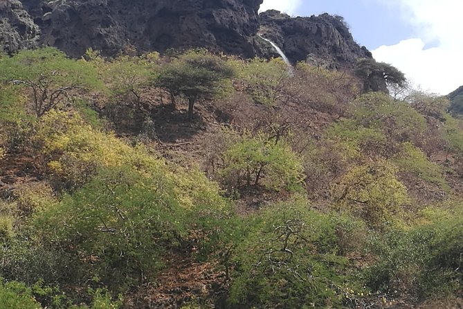 Enjoy a Full-Day Tour Uncovering East Salalah’s Hidden Gems - Hinnah Valley has Dhofar’s unusual baobabs