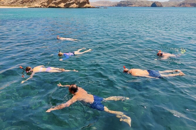 Experience Dolphin watching and snorkeling in Muscat - Leaving Marina Bandar Al Rowdha at 9:45 am