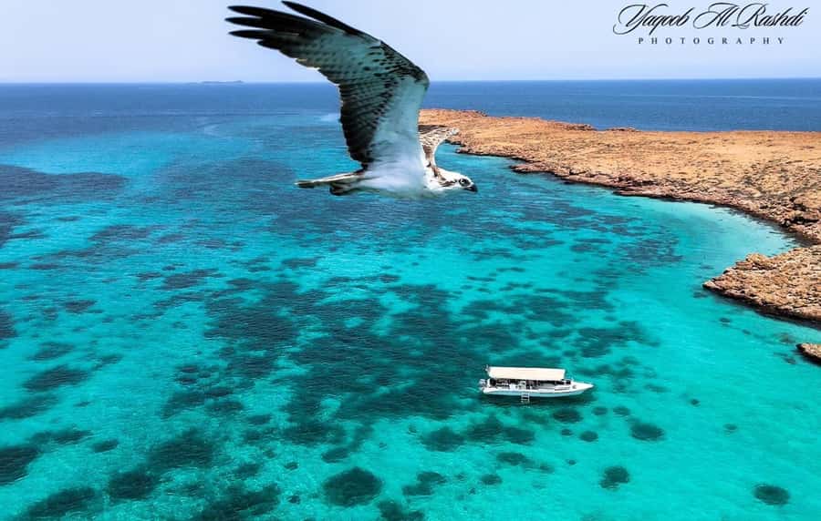 From Al-Seeb: Dimaniyat Islands Boat Trip with Snorkeling - Leaving Al-Seeb Marina by boat