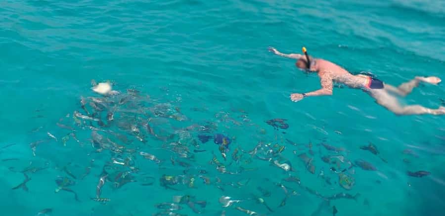 From Dubai to Norway of Arabia|Telegraph Island| Dhow Cruise - Practical tips for a smoother day