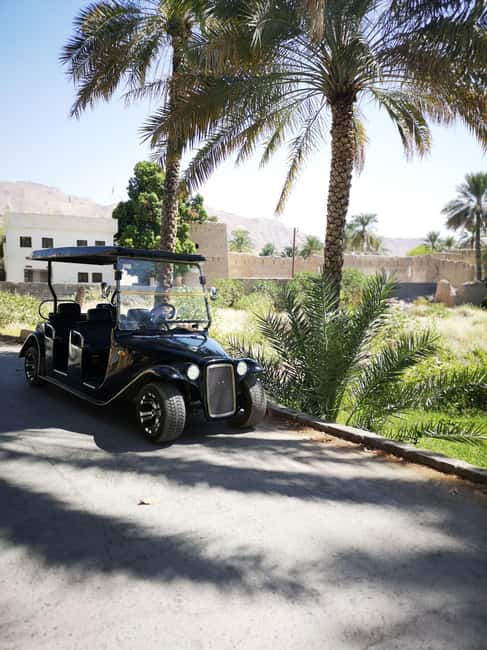 From Jebel Akhdar: Al Aqur Village Cultural Cart Tour - Key points at a glance