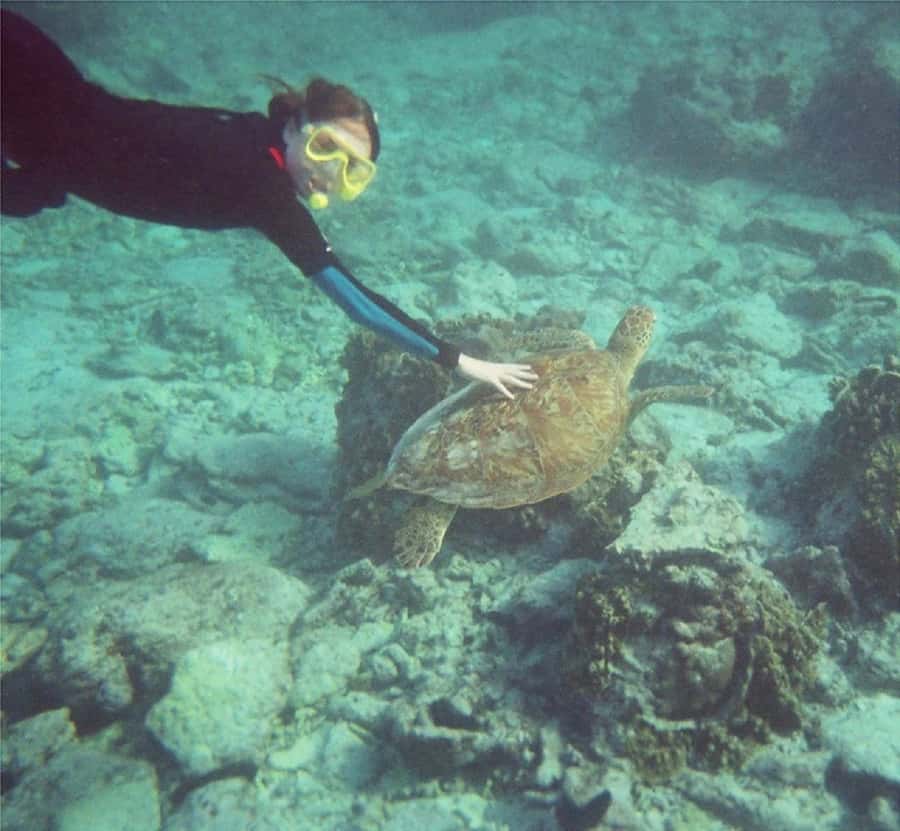 From Muscat: Dimaniyat Islands Snorkeling Tour - What the $85 price really covers