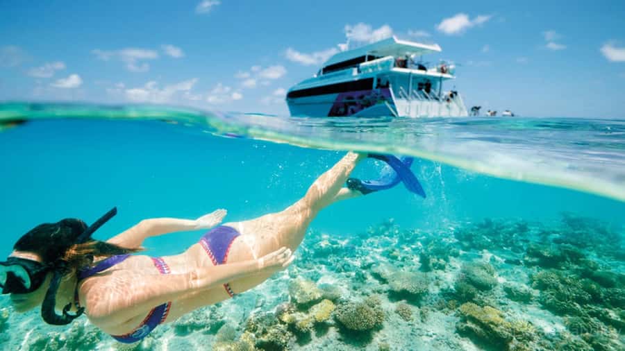 From Muscat: Dimaniyat Islands Snorkeling Tour - The morning pickup and drive to the marina