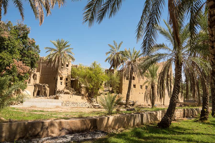 From Muscat: Nizwa and Oman's Historical Gems Tour - Bahla Fort and Jabreen Castle