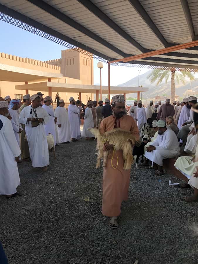 From Muscat: Nizwa and Oman's Historical Gems Tour - Oman Across Ages Museum