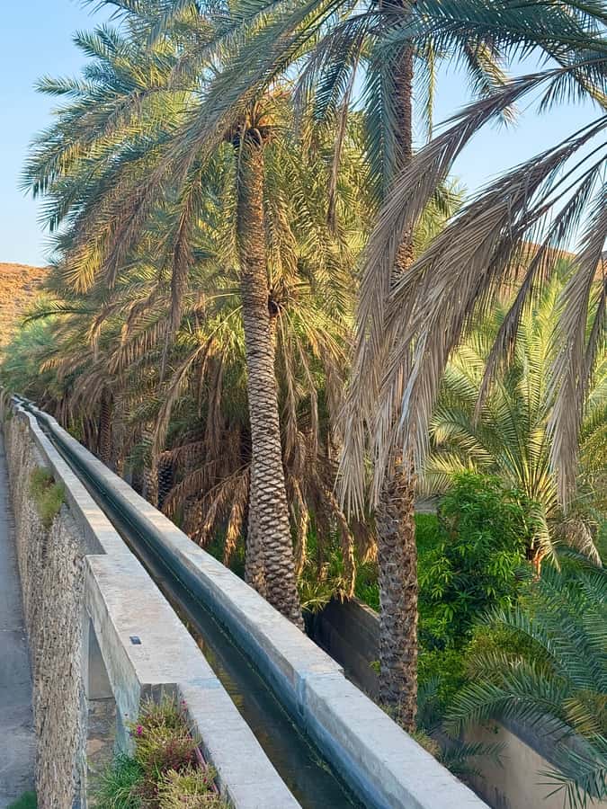 From Muscat: Nizwa Fort, Souq, falaj & Museum Full Day Tour - Birkat Al Mouz and the old falaj system