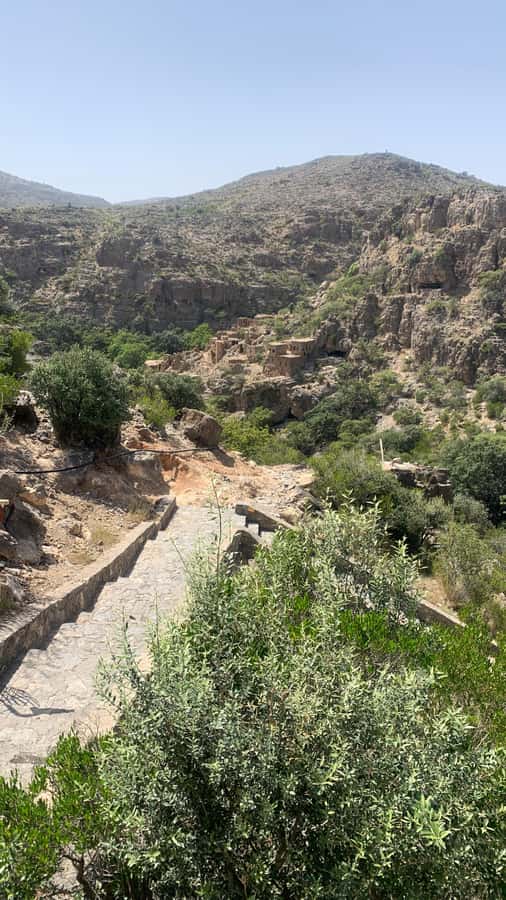 From Muscat: Private Nizwa and Jabel Akhdar-Shams with Lunch - Choosing Jebel Akhdar at about 2,900 meters