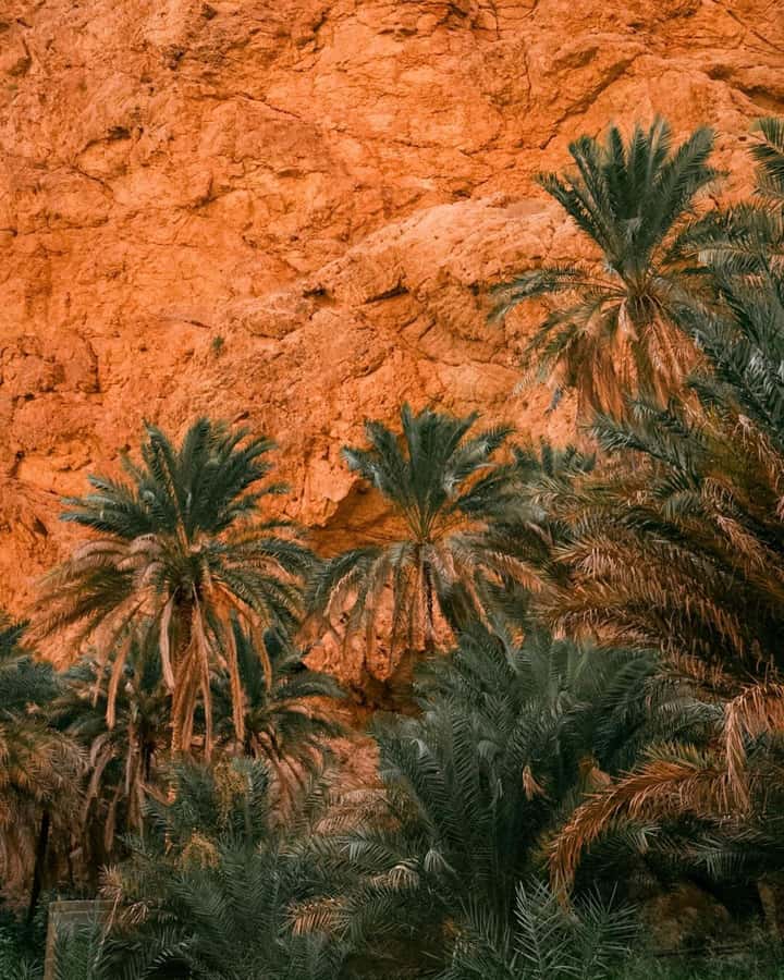 From Muscat:Private Wadi Shab and Bimmah SinkHole Tour - Bimmah Sinkhole Near the Sea