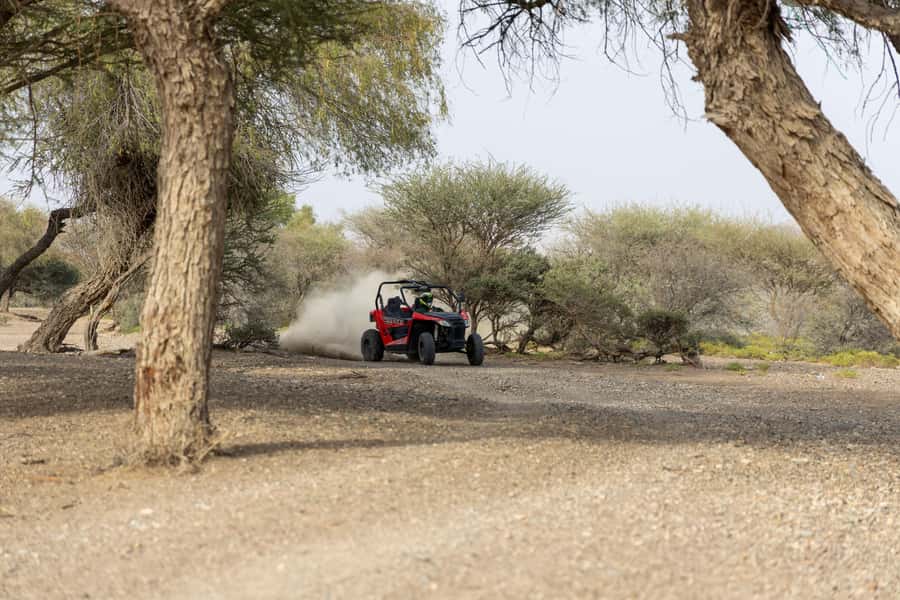 From Muscat: Self-Drive ATV Adventure in Wadi Al Rak - Clothes, timing, and small practical details