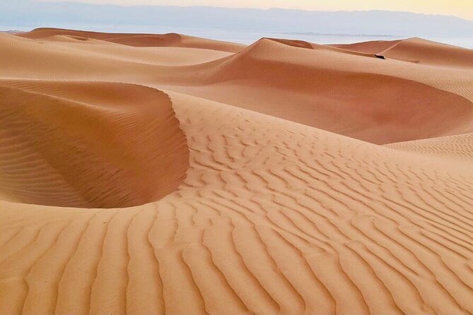 From Muscat: Wadi Hawar and Wahiba Sands Desert Tour - What the $175 price really covers