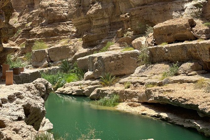 From Muscat Wadi Shab and Bimmah Sinkhole Tour - Who will enjoy this tour most