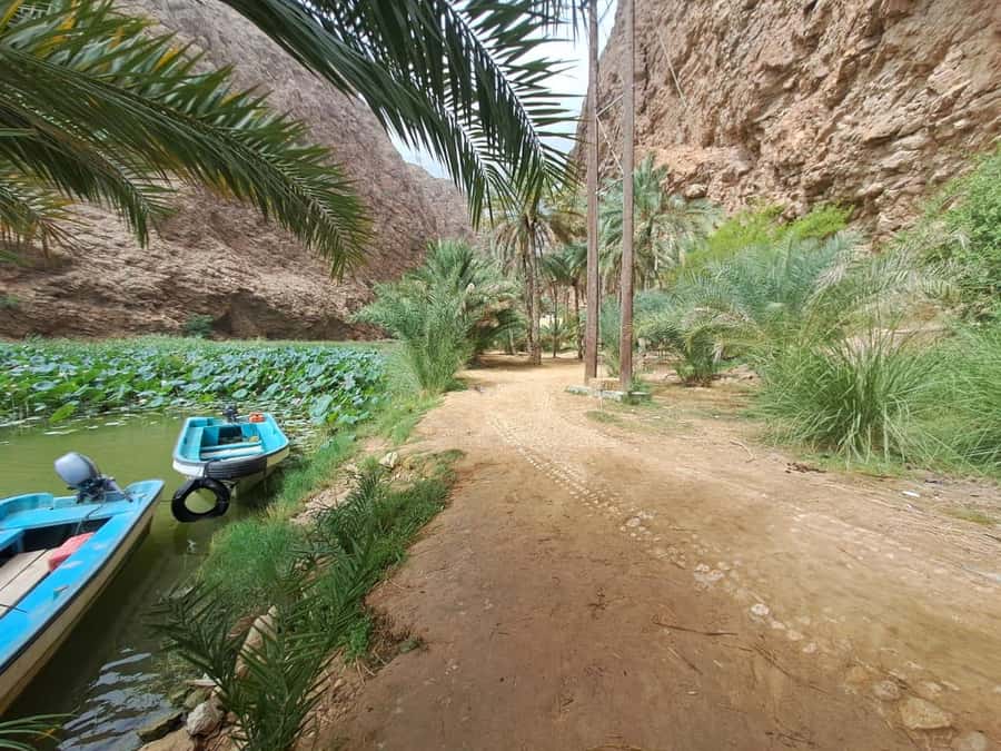 From Muscat: Wadi Shab Expedition - Wadi Shab is more than a scenic walk