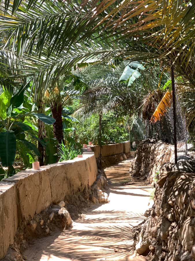 From Muscat: Wadi Shab & Sinkhole Private Tour & Free Lunch - Key points to know before booking