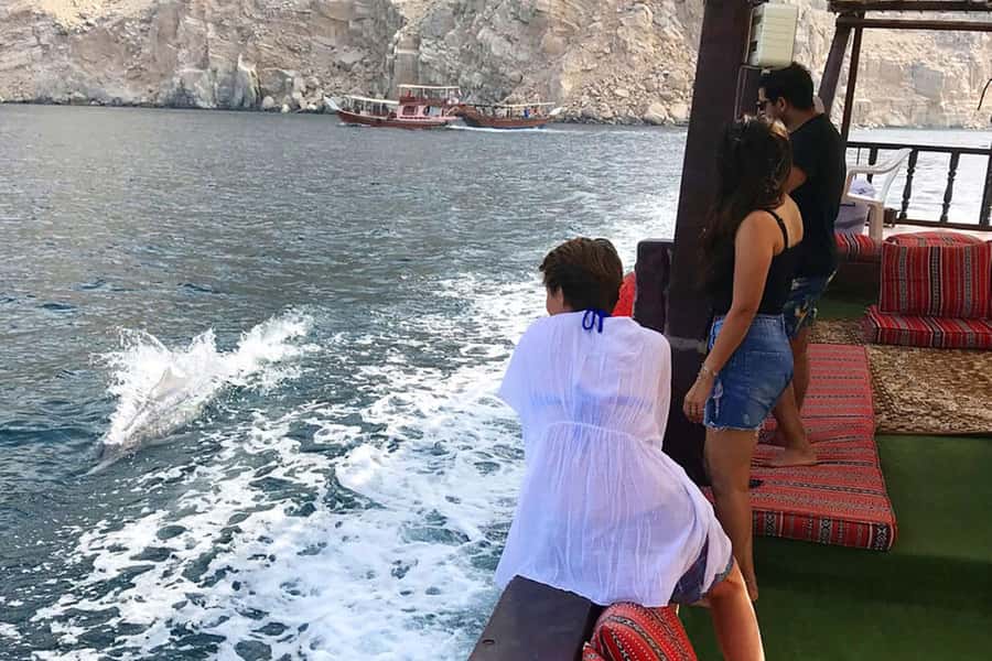 From Ras Al Khaima : Dolphin Watching and Jabal Harim Safari - Key points to know before booking