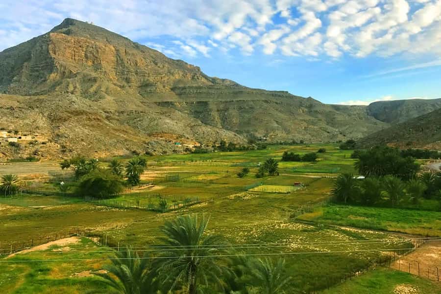 From Ras Al Khaima : Dolphin Watching and Jabal Harim Safari - Lunch, Khasab, and the change to mountain country