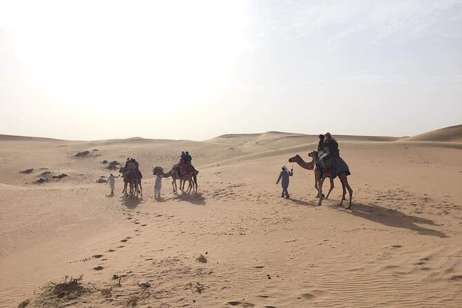 Full-Day Desert Safari Jeep Tour in Ash Sharqiyah Governorate - What to pack for this particular day