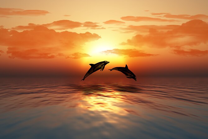 Full day Dhow: Khasab, Musandam: Dolphins, Snorkeling & Fjords - Telegraph Island, with time to look around