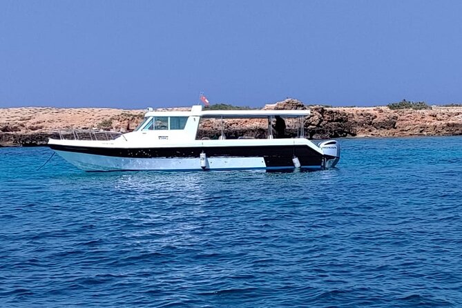 Full Day Dimaniyat Island Excursion - Is $145 a fair price?