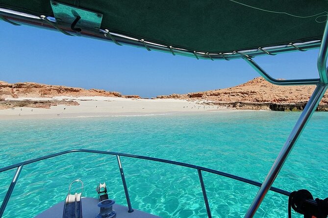 Full Day Dimaniyat Island Excursion - Who will enjoy this sea day most?