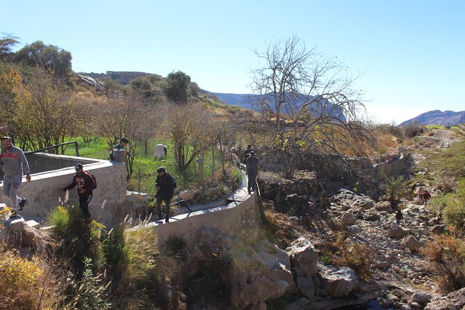Full-Day Guided Tour to Jebel Akhdar - Roses in March, pomegranates and grapes in summer