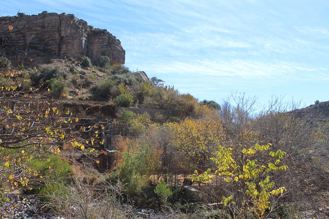 Full-Day Guided Tour to Jebel Akhdar - Is $202 per person a fair price?