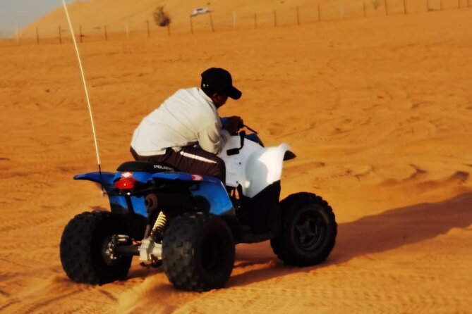 Full Day Private Desert Adventure - Sandboarding without snow