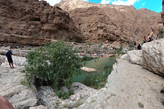 Full-day Private Guided Wadi Shab Tour in Oman - What the praise for Moon Tours Oman tells you