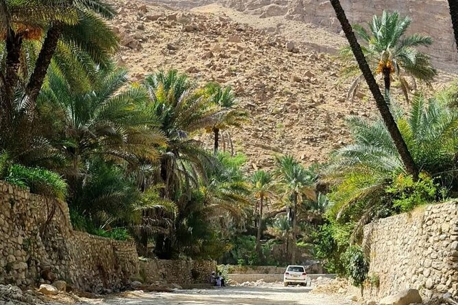 Full-Day Private Tour of Wahiba Sands Desert and Wadi Bani Khalid - What the Bedouin house adds to the day