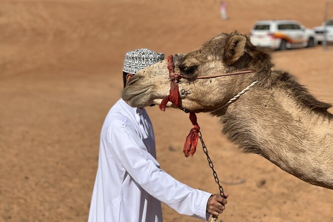 Full-Day Private Tour of Wahiba Sands Desert and Wadi Bani Khalid - Wadi Bani Khalid and its emerald pools