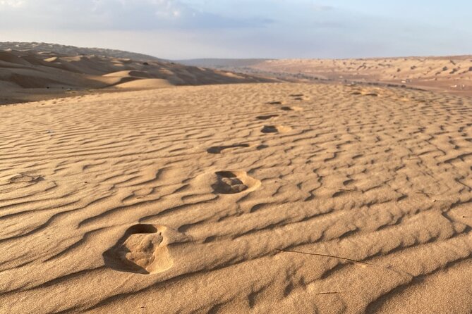Full-Day Private Tour of Wahiba Sands Desert and Wadi Bani Khalid - Timing, weather, and cancellation rules