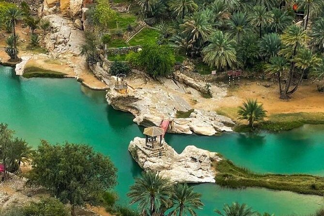 Full-Day Private Tour of Wahiba Sands Desert and Wadi Bani Khalid - Two hours in the golden sands of Wahiba