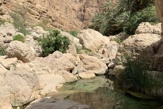 Full Day Private Tour to Wadi Shab and Bimmah Sinkhole - Why private guiding matters at Wadi Shab