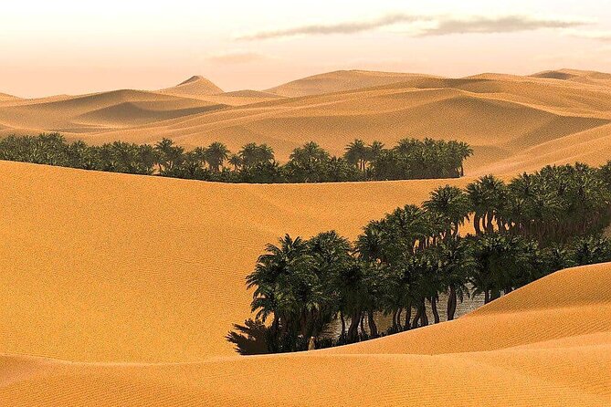 Full-Day Private Wahiba Sands Desert and Wadi Bani Khalid Tour - The private 4WD advantage