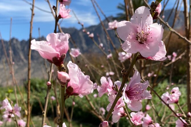 Full Day Tour from Wakan to Jebel Akhdar Trekking - Continuing toward Jebel Akhdar