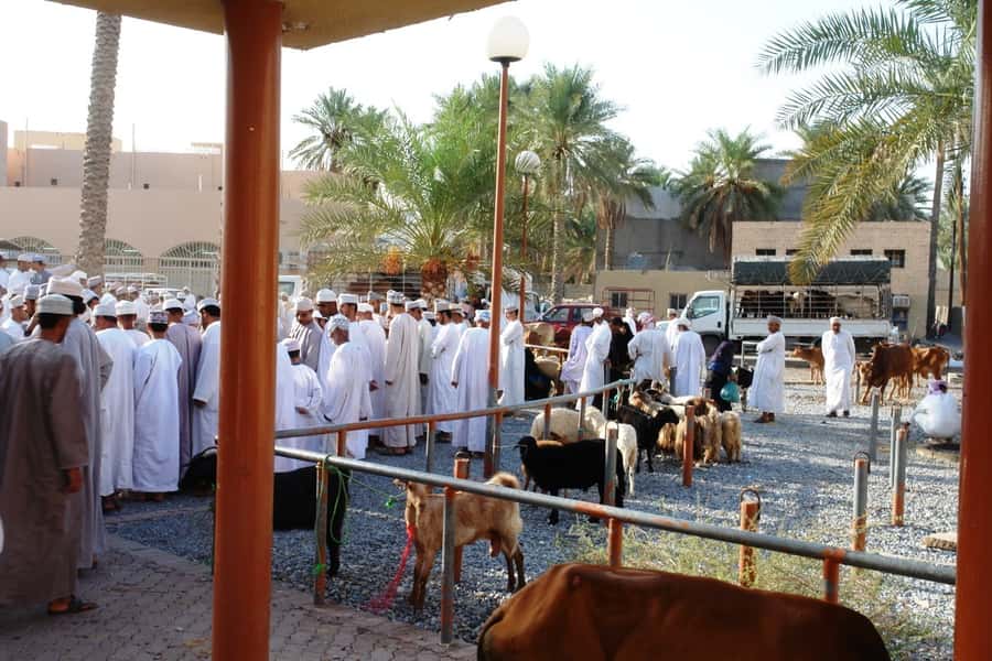 Full-Day Tour in Oman: Enchanting Forts of Nizwa and Jabreen - The drive from Muscat through the Hajar Mountains