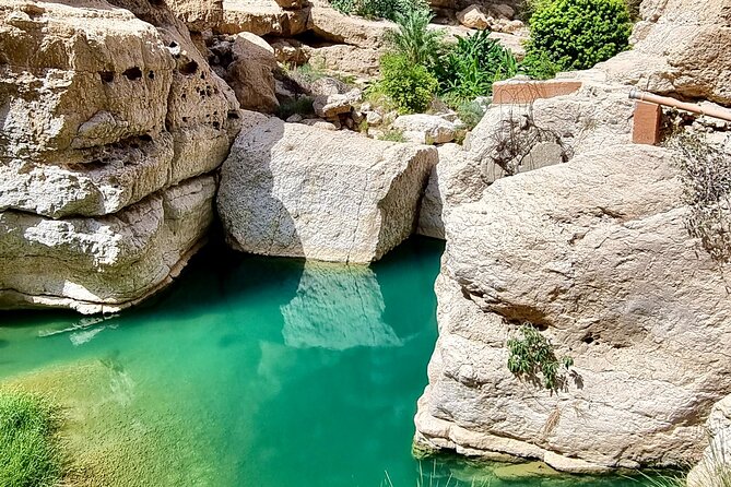 Full Day Tour in Wadi Shab - What makes the guide important