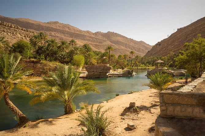 Full-Day Wahiba Desert and Wadi Bani Khalid Group Tour - Who should book this tour?