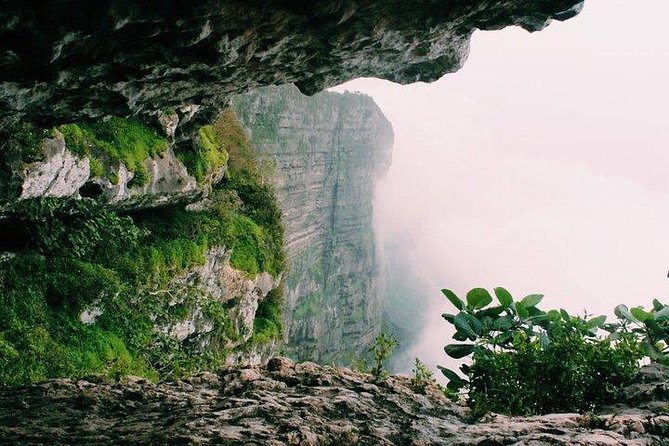 Full day west tour of Salalah - Is $220 per person fair value?