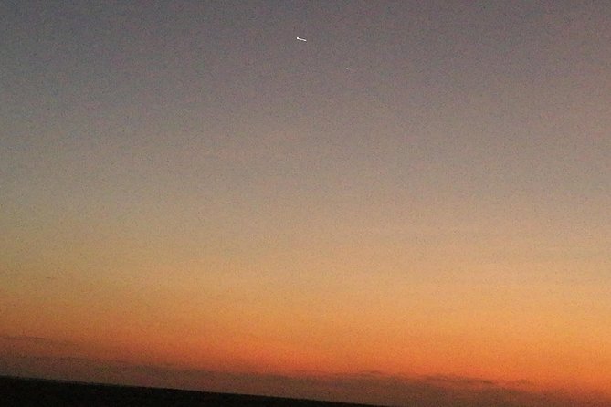Golden Dunes Getaway: Overnight Safari in Salalah’s Empty Quarter - Wadi Dawkah and the living frankincense trade