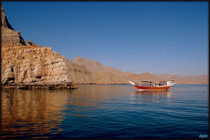 Half Day Dhow cruise to Telegraph Island (Shore excursions) - Dolphin watching from a traditional dhow
