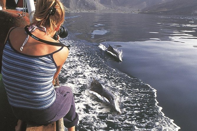 Half Day Dolphin Watching Musandam Dhow Cruise - How comfortable is the dhow?