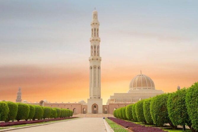 Half Day Private Muscat City Afternoon Tour - Al Alam Palace in Old Muscat