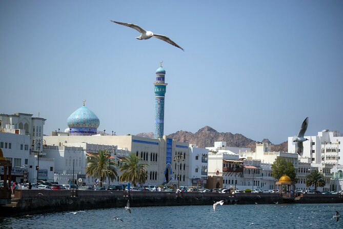 Half-Day Private Muscat City Tour 4 Hours - Al Alam Palace: a royal facade viewed from outside
