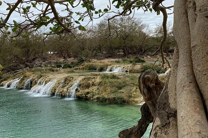 Half-Day Private Salalah East Tour - Why this eastern Salalah route works