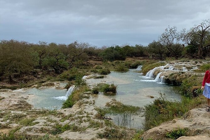 Half-Day Private Salalah East Tour - What the $140 price means for value