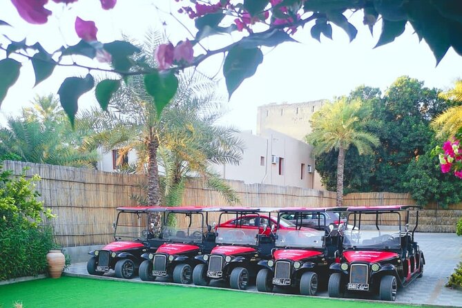 Heritage private Tour by classic carts - Passing the central market and souk